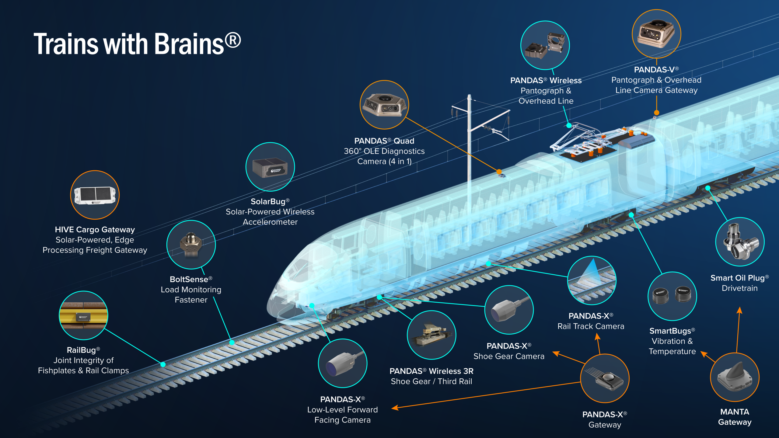 Trains with Brains Overview